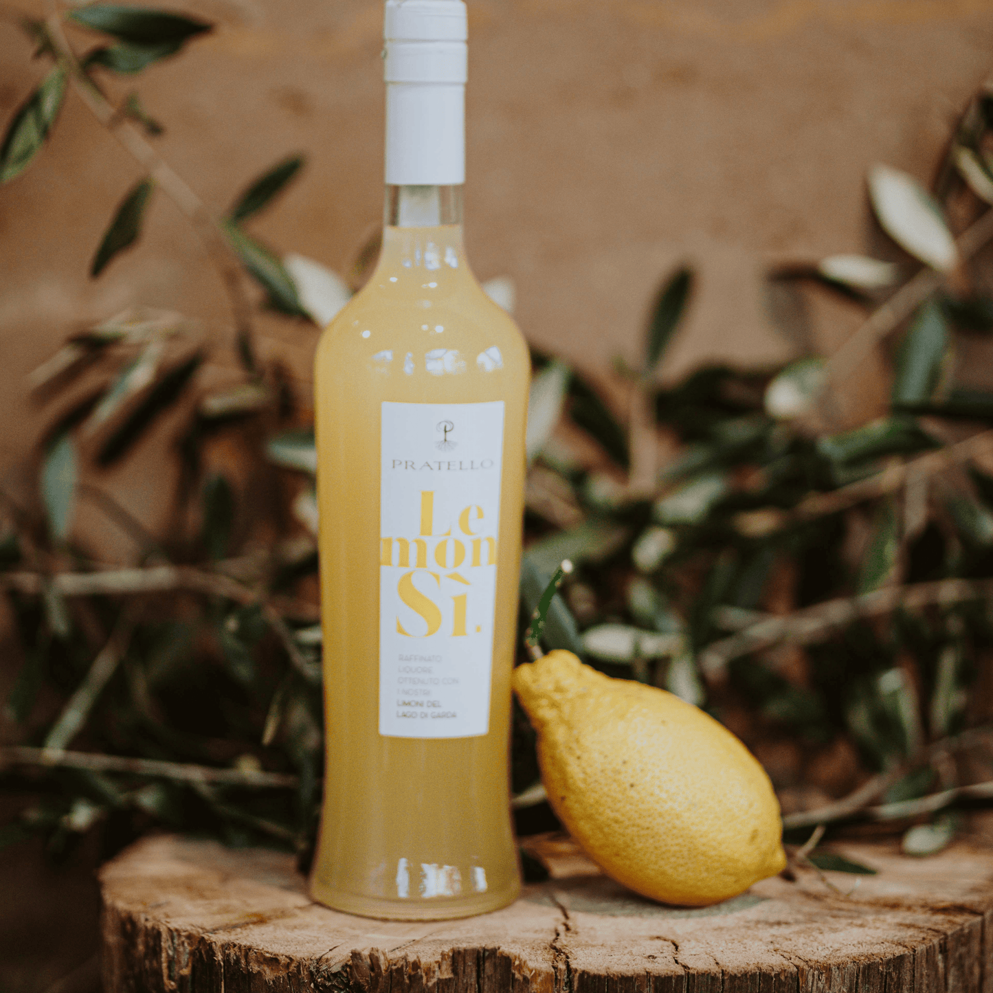 Lemonsì