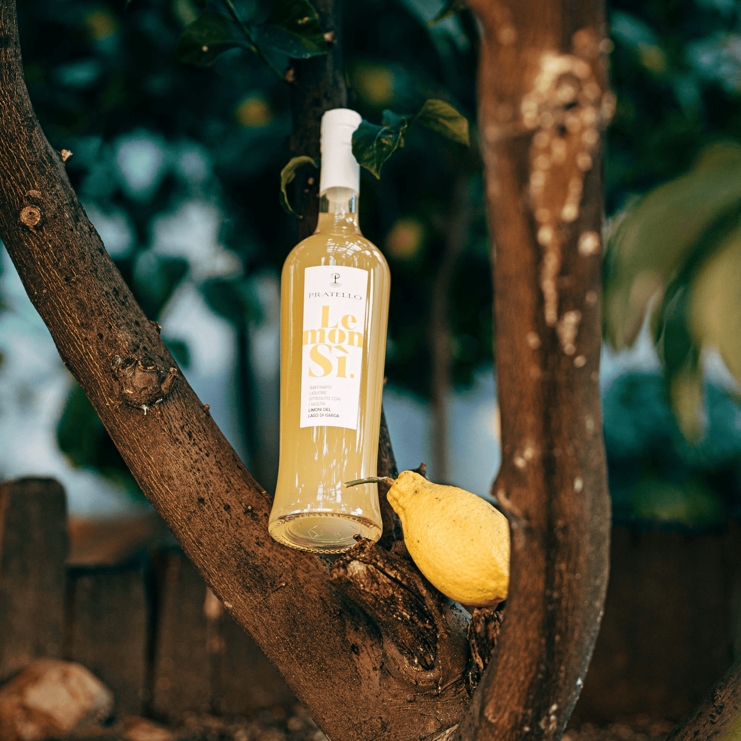 Lemonsì