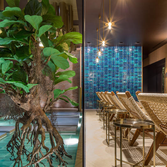 Benessere Rurale con Apericena - speciale venerdì