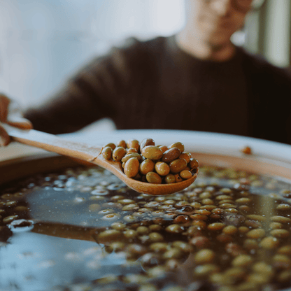 Casaliva olives aged in amphora